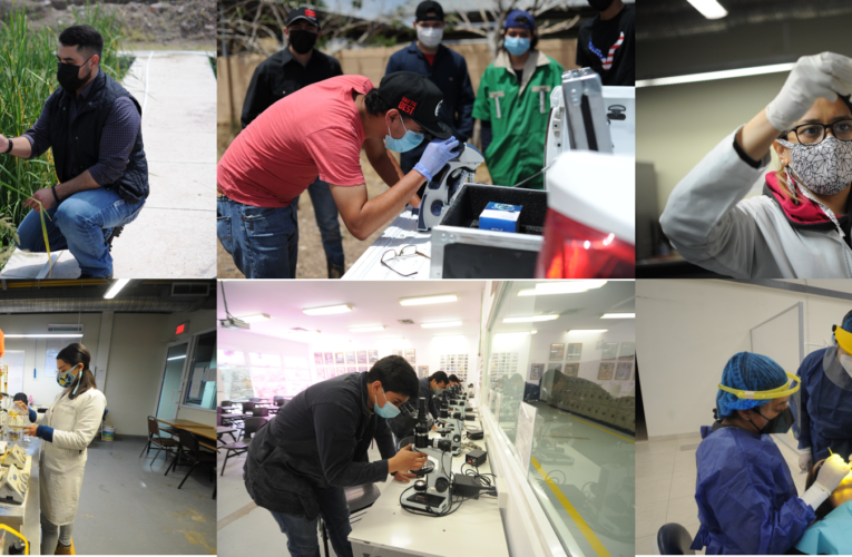 Regresarán estudiantes de la UACH sólo a laboratorios, talleres y prácticas
