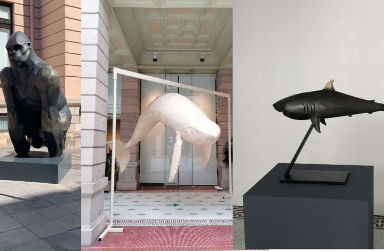 “Animal, elemento y materia” la nueva exposición de Alfredo Cota en Casa Chihuahua