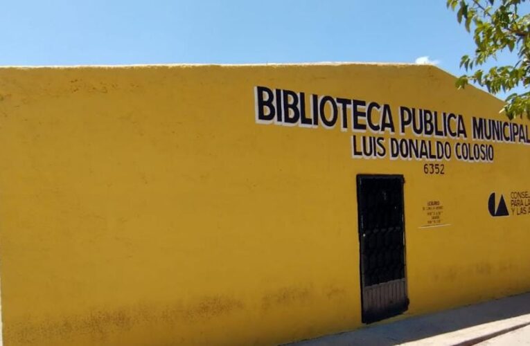 BIBLIOTECAS EN DESUSO Y EN PELIGRO DE EXTINCIÓN POR FALTA DE USUARIOS