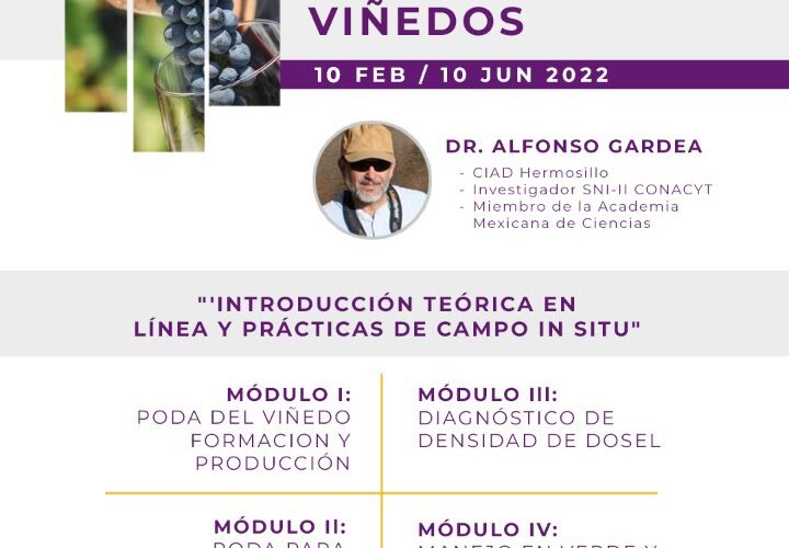 Invita Faciatec a participar en el diplomado “Manejo de Dosel en Viñedos”