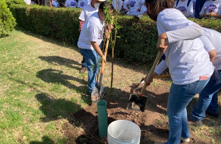 Reforestan instalaciones de Zootecnia en el  Día Mundial del Medio Ambiente