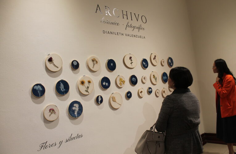 Exposición “Archivo Botánico Fotográfico”, por Dianileth Valenzuela