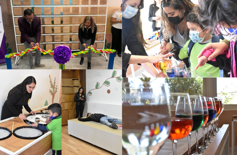 Inaugura Secretaría de Cultura exposición “Sensorial: arte, emoción y diversidad”