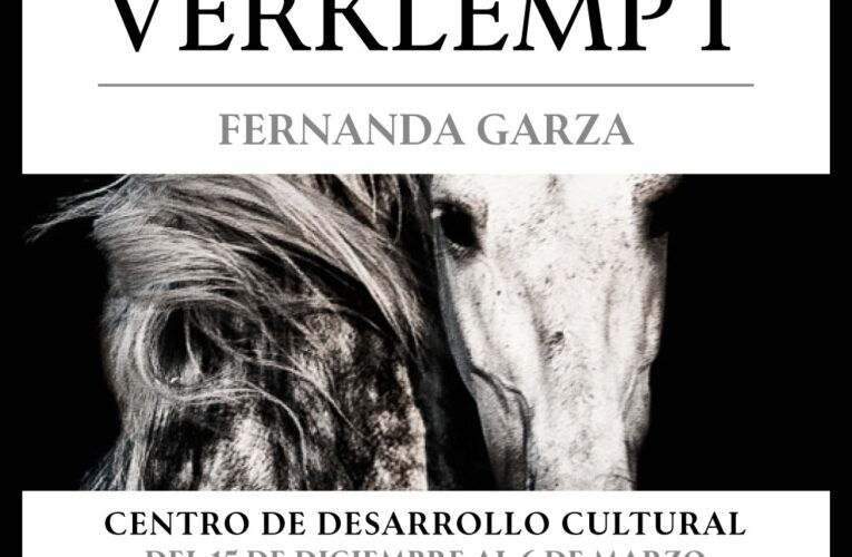 Invita Gobierno Municipal a exposición “Verklempt” en el Centro de Desarrollo Cultural