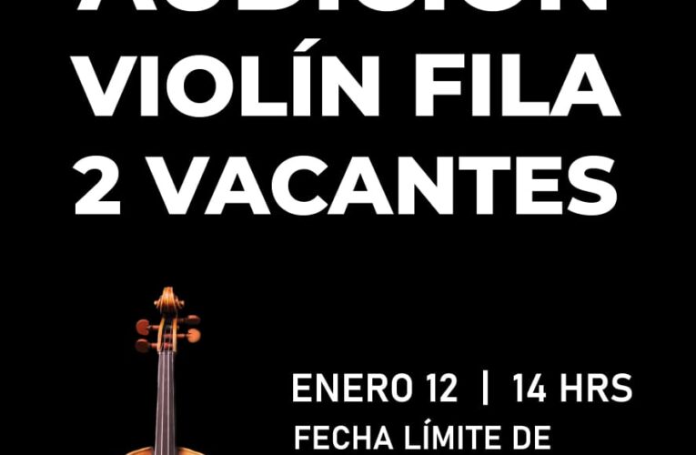 Convoca Secretaría de Cultura a músicos instrumentistas a formar parte de la OFECH